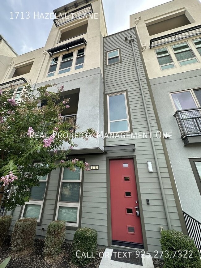 1713 Hazelnut Ln in Milpitas, CA - Building Photo - Building Photo