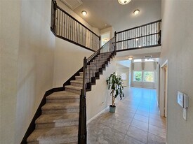 24258 Via Vitani Dr in Richmond, TX - Building Photo