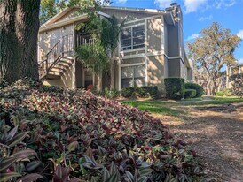 14317 Hanging Moss Cir in Tampa, FL - Building Photo