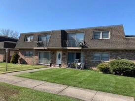 9720 Ravinia Ct in Orland Park, IL - Building Photo
