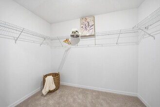 17712 Pleasantview Blvd in Land O Lakes, FL - Building Photo - Building Photo