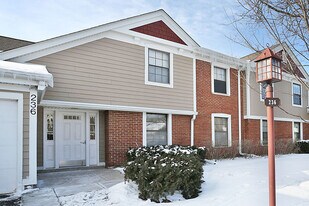 236 Deerpath Ct in Schaumburg, IL - Building Photo