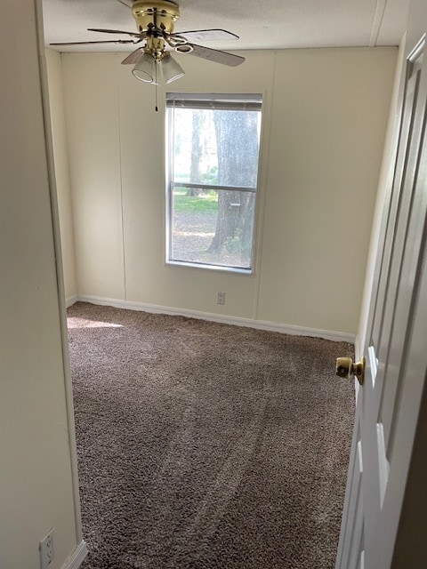 property at 1340 N Paulette Ter