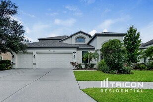 11932 Harpswell Dr in Riverview, FL - Building Photo