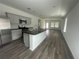 6059 Diamond Vis Ct in Spring, TX - Building Photo