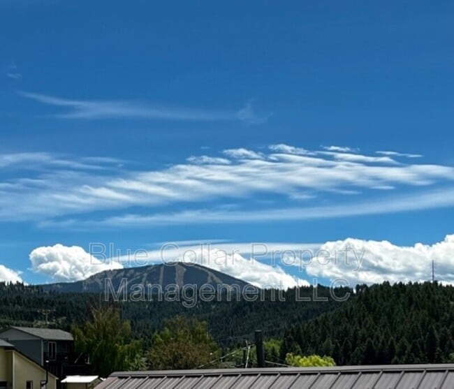 property at 104 College St