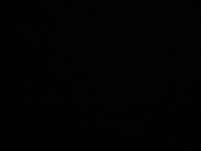 1414 C St NE in Washington, DC - Foto de edificio - Building Photo