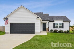 173 Beaver Tavern Dr in Benson, NC - Building Photo