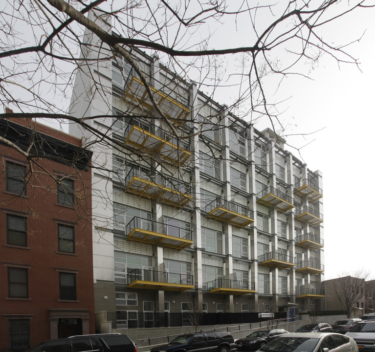 Eckford Apartments in Brooklyn, NY - Foto de edificio