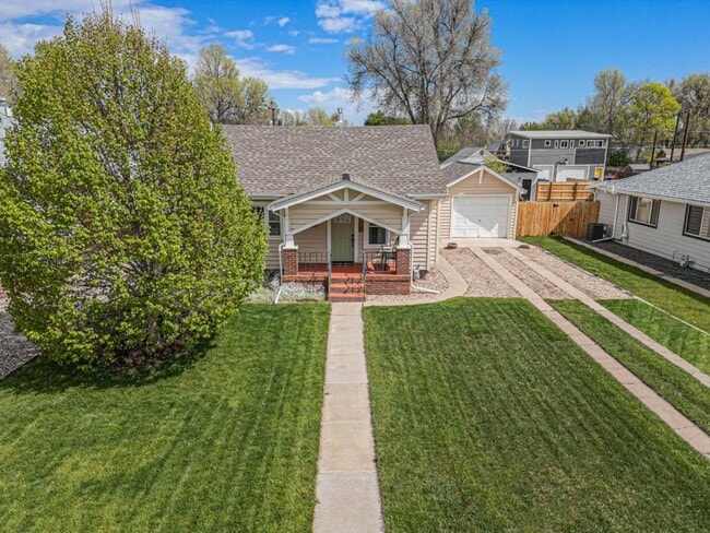 616 Locust St in Windsor, CO - Building Photo - Building Photo