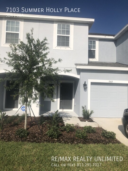 7103 Summer Holly Pl in Riverview, FL - Building Photo