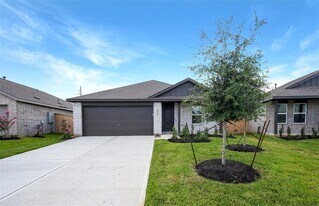 6602 Tricolor Beech Ln in Katy, TX - Building Photo