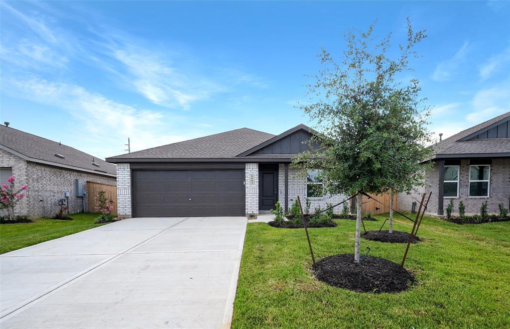 6602 Tricolor Beech Ln in Katy, TX - Building Photo