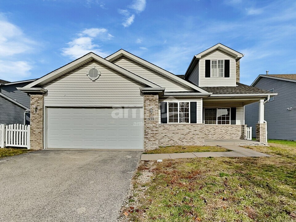 938 Anndon Ln in Braidwood, IL - Building Photo