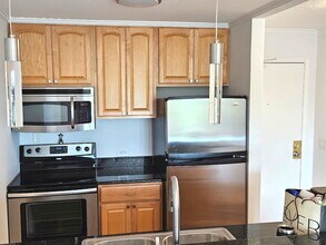 1 One Renaissance Pl in Palatine, IL - Building Photo - Building Photo