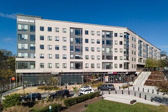 Terrapin Row in College Park, MD - Foto de edificio - Building Photo