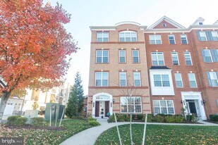 43048 Vernon Ridge Terrace in Ashburn, VA - Building Photo