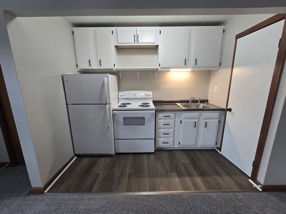 11 N Lake St, Unit 1 in Madison, OH - Building Photo