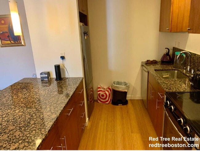 16 Miner St, Unit 303 in Boston, MA - Building Photo - Building Photo