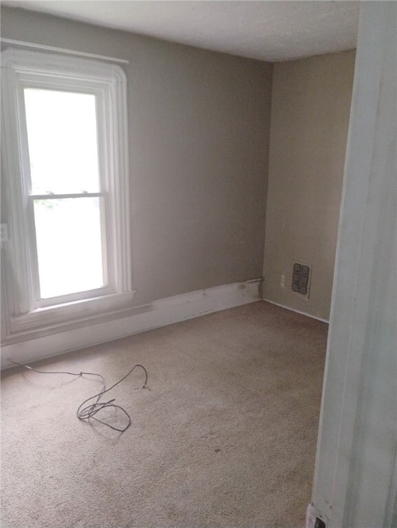 property at 1018 Hall St