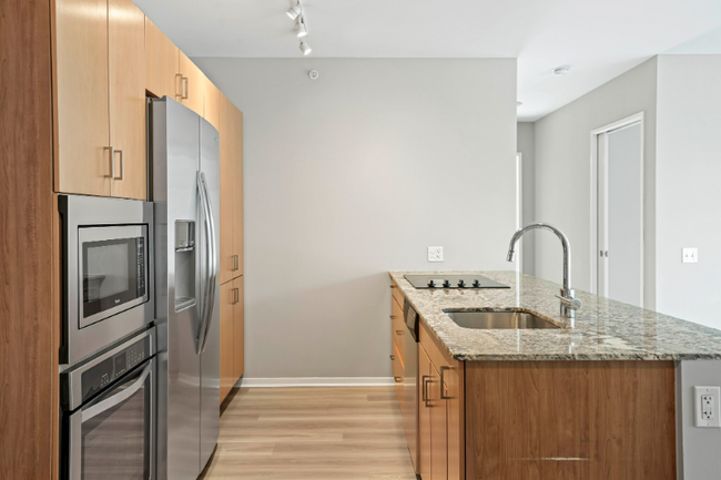 215 E Illinois St in Chicago, IL - Building Photo - Building Photo