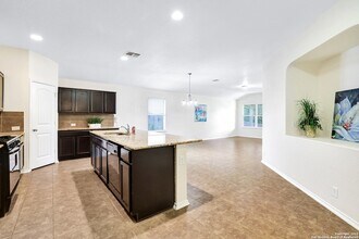 446 Eastern Phoebe in San Antonio, TX - Building Photo - Building Photo