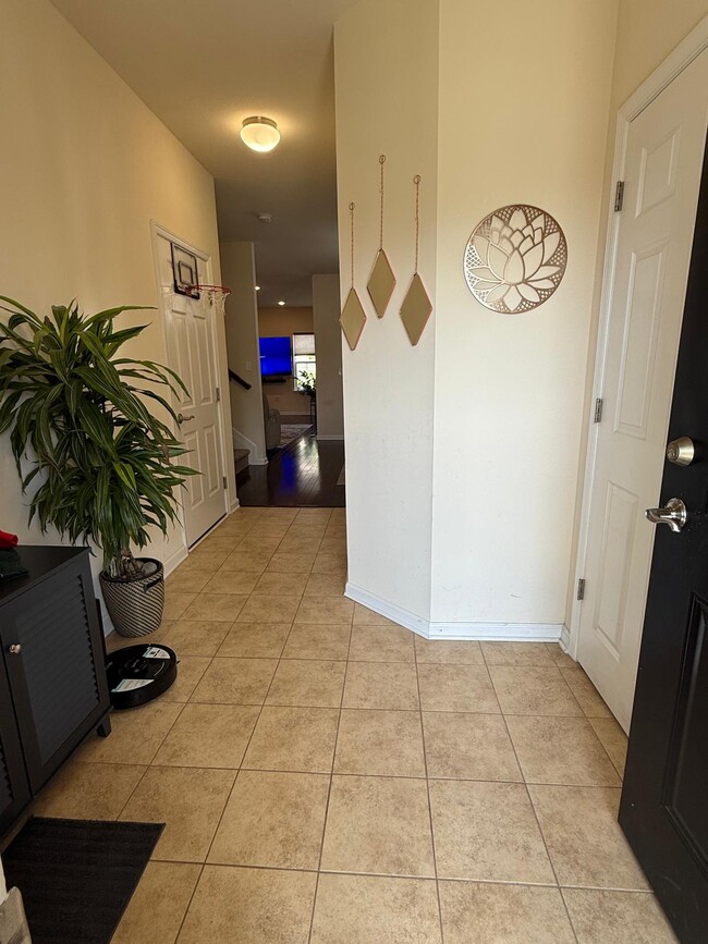 property at 29 Blair St