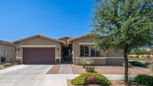 22697 E Tierra Grande in Queen Creek, AZ - Building Photo - Building Photo