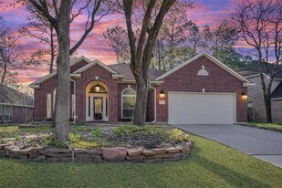 30 S Rambling Ridge Pl in Conroe, TX - Building Photo