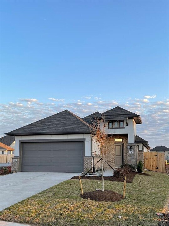 20235 Moonlight Falls Ct in Richmond, TX - Building Photo