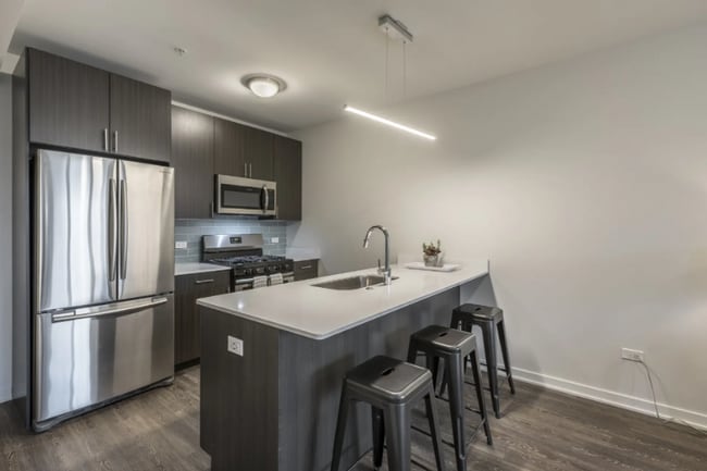 230 W Evergreen Ave in Chicago, IL - Building Photo - Building Photo