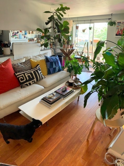 property at 65 N Clarkson St