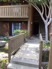 33852 Del Obispo St in Dana Point, CA - Building Photo - Building Photo