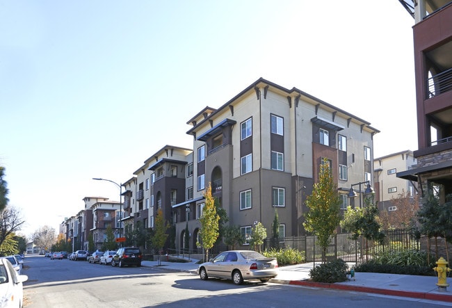 1st and Rosemary Family Apartments