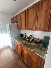 381 S Cobble Ct in Mount Dora, FL - Building Photo - Building Photo