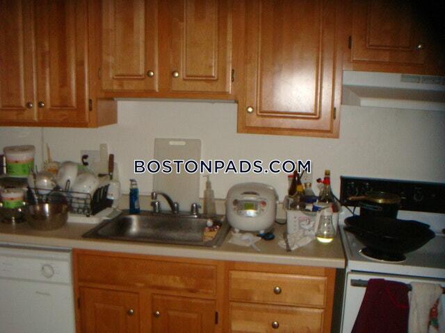66 Homer Ave in Cambridge, MA - Building Photo