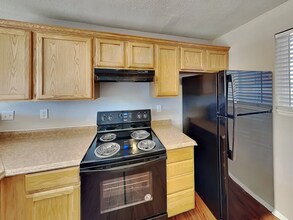 14377 E 47th Dr in Denver, CO - Building Photo - Building Photo