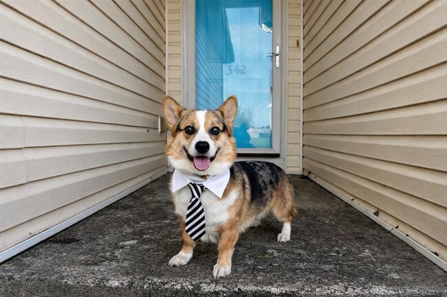 342 Turkey Run Dr in Bowling Green, KY - Building Photo - Building Photo