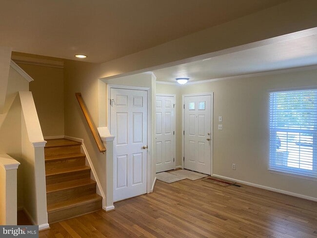 7049 Rogue Forest Ln in Gainesville, VA - Building Photo - Building Photo