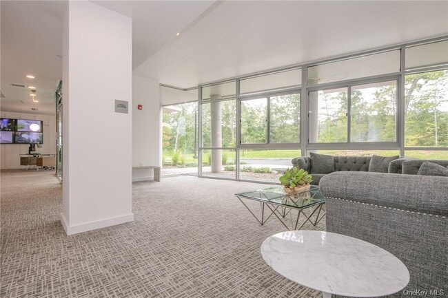 250 Central Park Ave in Hartsdale, NY - Building Photo - Building Photo