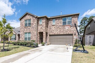 9738 Birdsnest Ct in Spring, TX - Building Photo