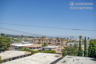 3638 Motor Ave in Los Angeles, CA - Foto de edificio - Building Photo