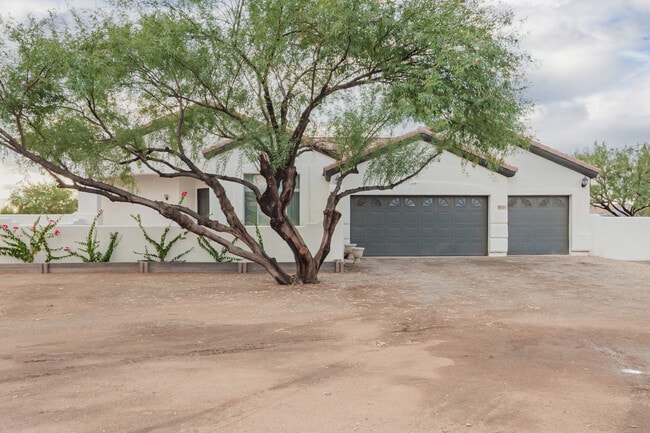 10335 N Tall Cotton Dr in Marana, AZ - Building Photo - Building Photo