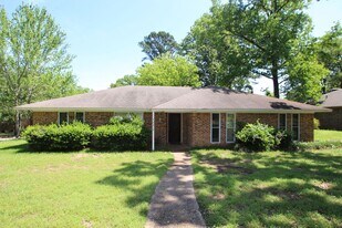4210 Heather Ln in Tyler, TX - Building Photo