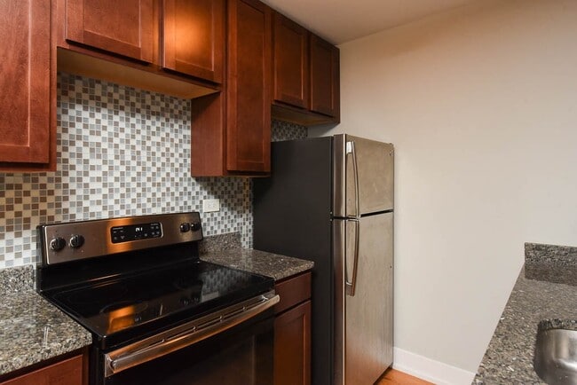 541 W Arlington Pl in Chicago, IL - Building Photo - Building Photo