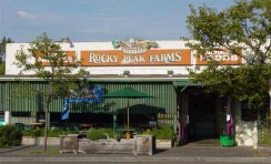 Rocky Peak Apartments in Fallbrook, CA - Foto de edificio - Other