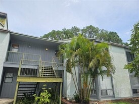 4371 Aqua Vista Dr in Orlando, FL - Building Photo