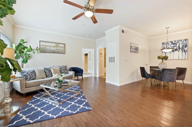 property at 8800 US-290