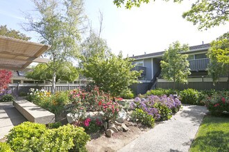 Village Green Apartments in Cupertino, CA - Building Photo - Building Photo