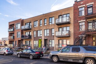 2480-2484 Marie-Anne St E in Montréal, QC - Building Photo